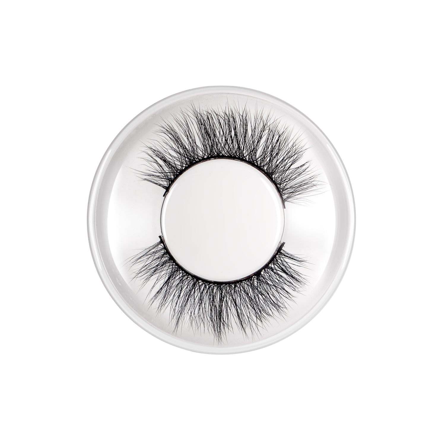 Eyelashes Attraction