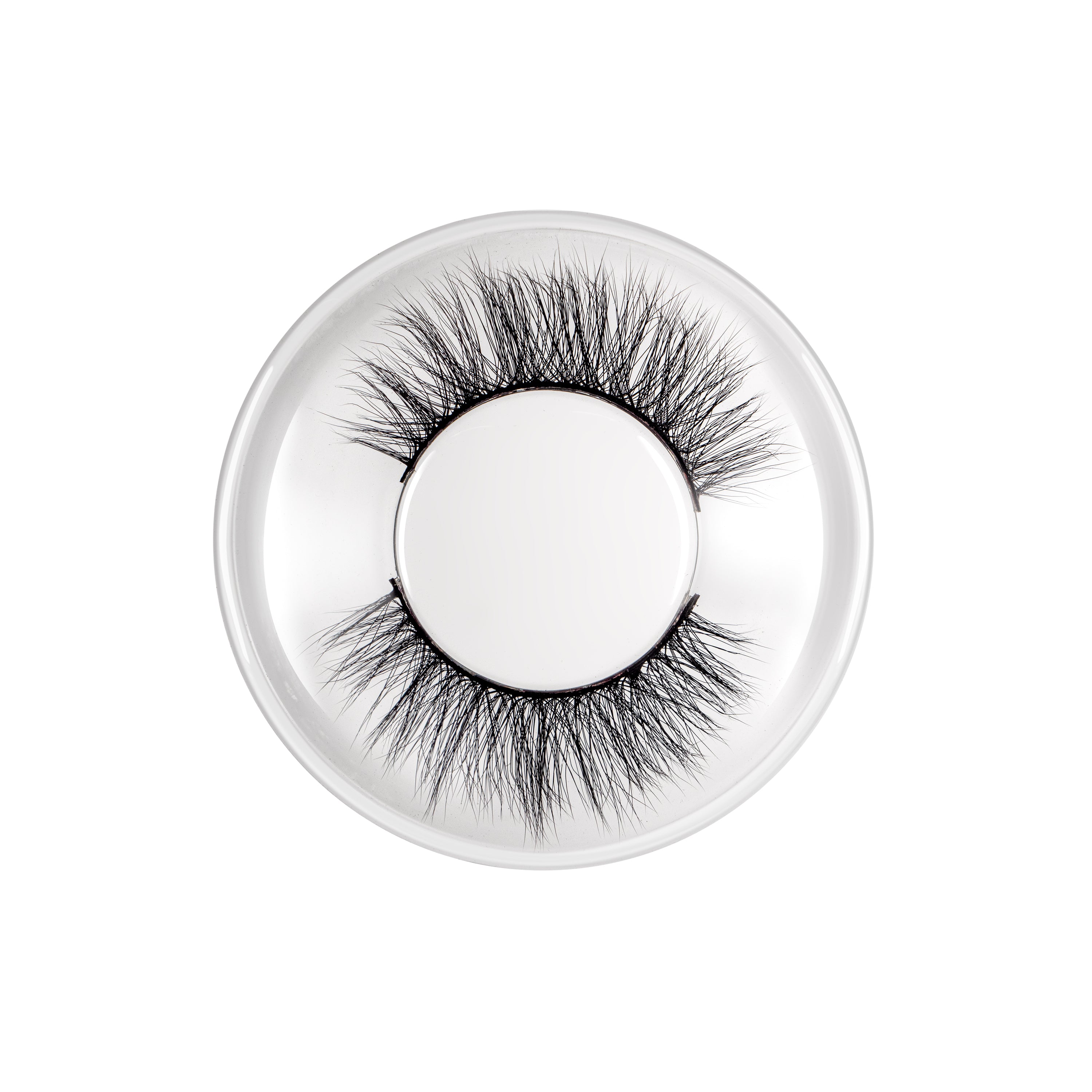 Eyelashes Attraction
