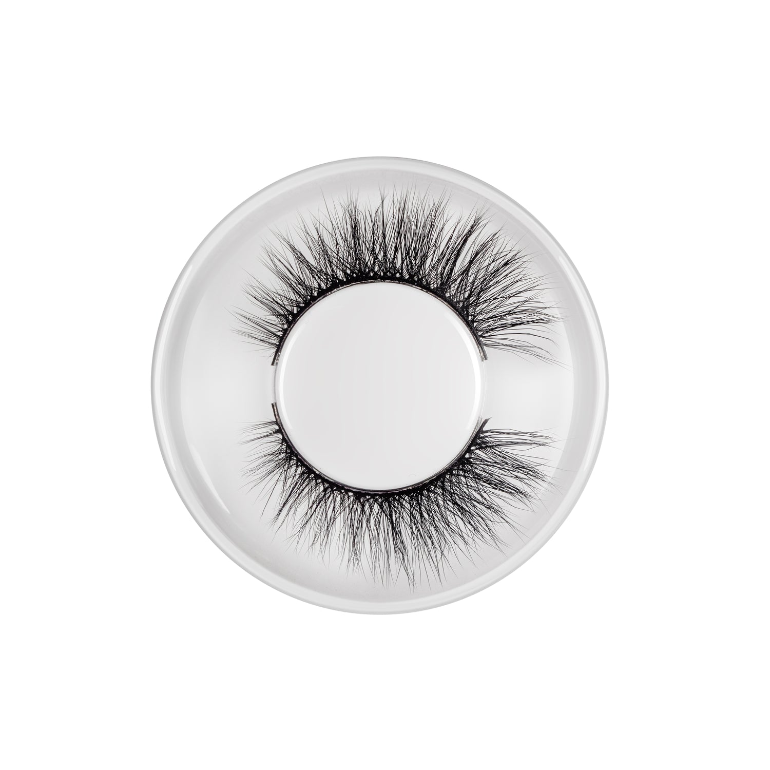 Eyelashes Jazz