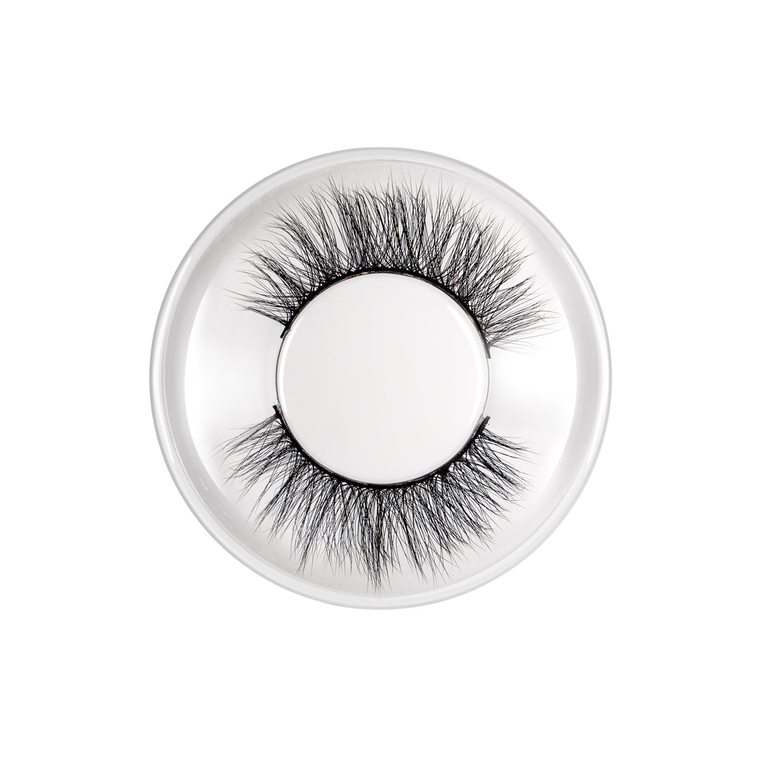 Eyelashes Attraction